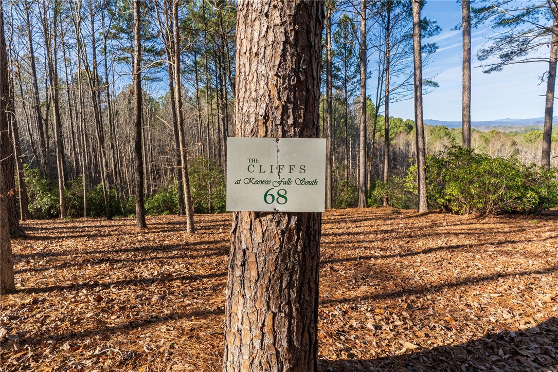 392 Cliffs S Parkway Salem, SC 29676 - Photo 19 of 27