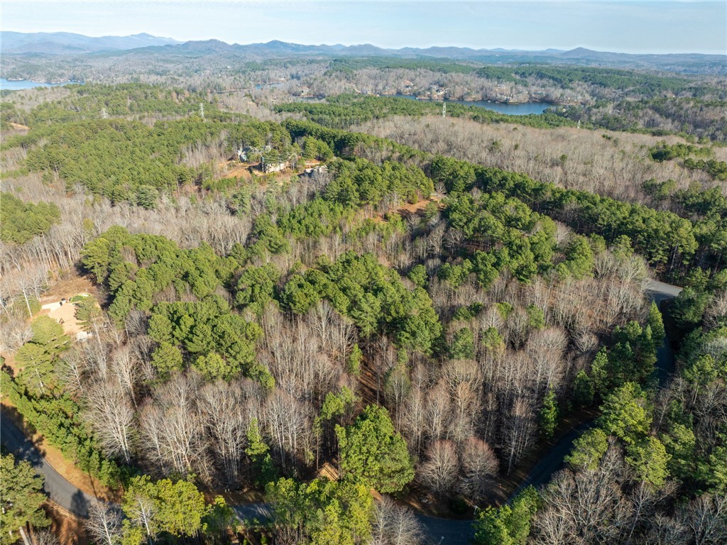 392 Cliffs S Parkway Salem, SC 29676 - Photo 20 of 27