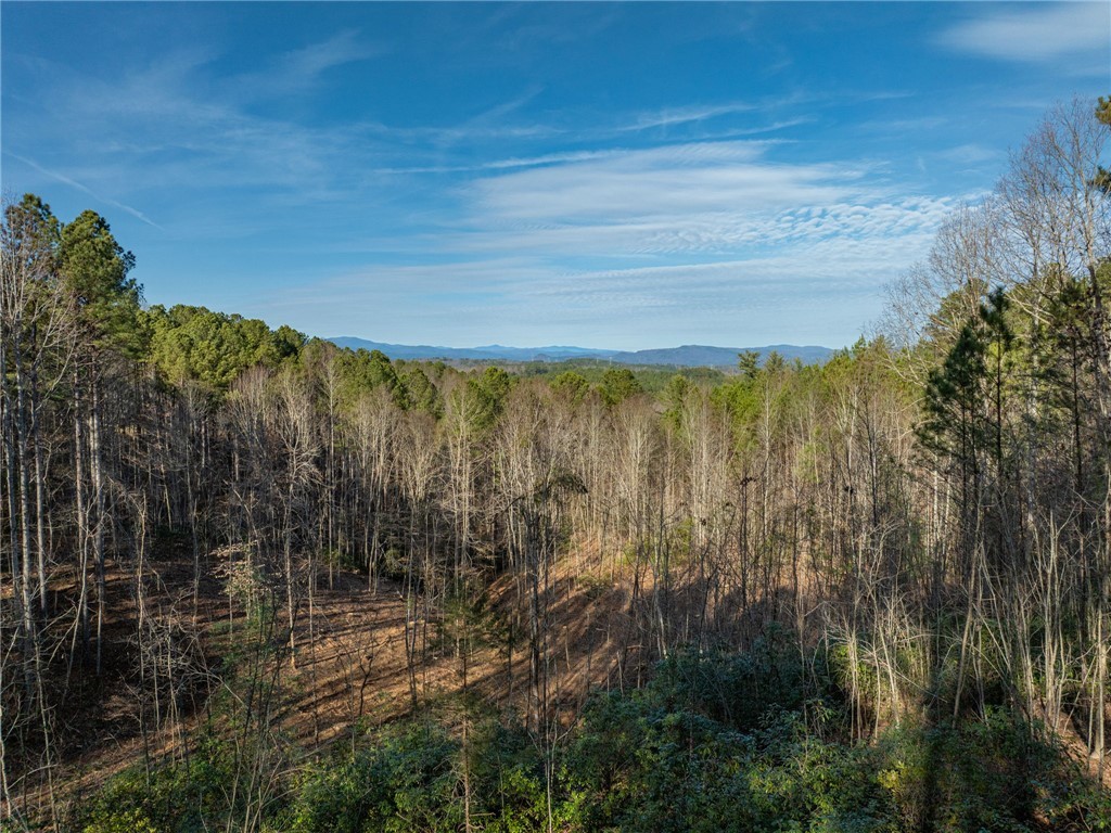 392 Cliffs S Parkway Salem, SC 29676 - Photo 2 of 27