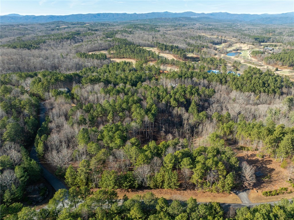 392 Cliffs S Parkway Salem, SC 29676 - Photo 21 of 27