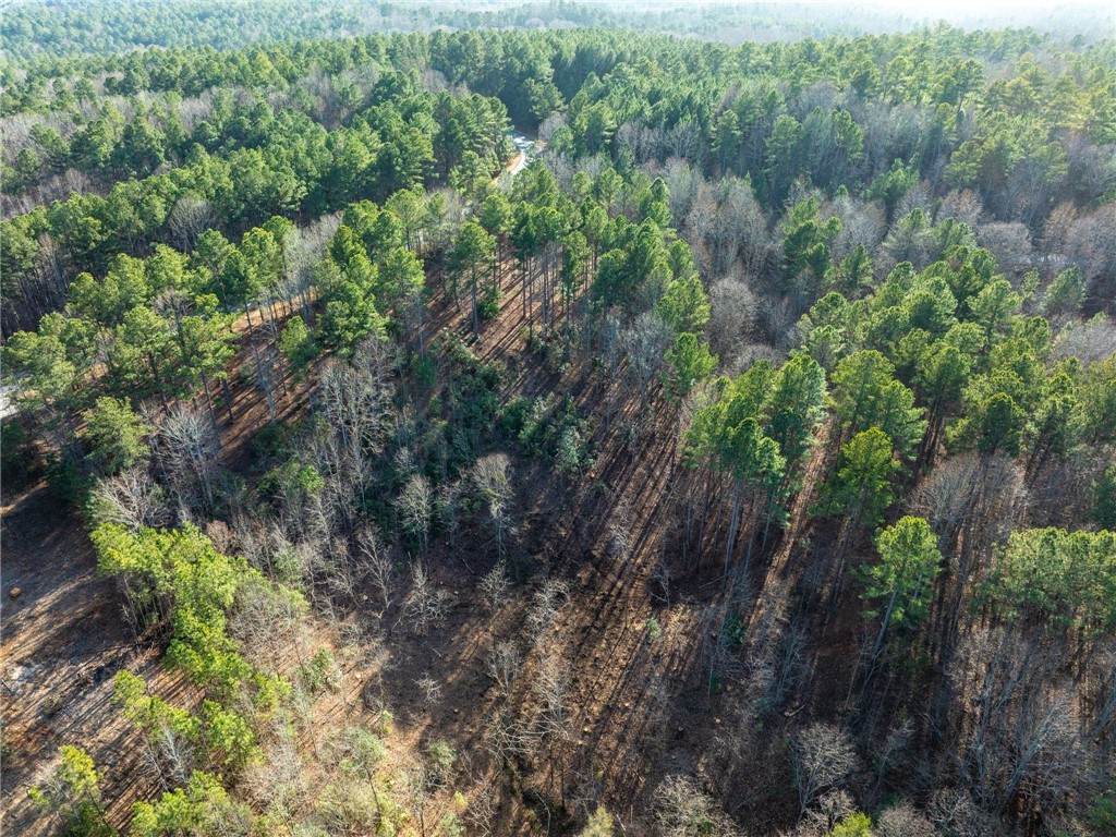 392 Cliffs S Parkway Salem, SC 29676 - Photo 23 of 27