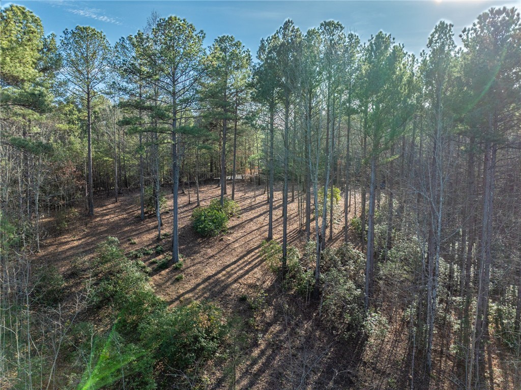 392 Cliffs S Parkway Salem, SC 29676 - Photo 24 of 27