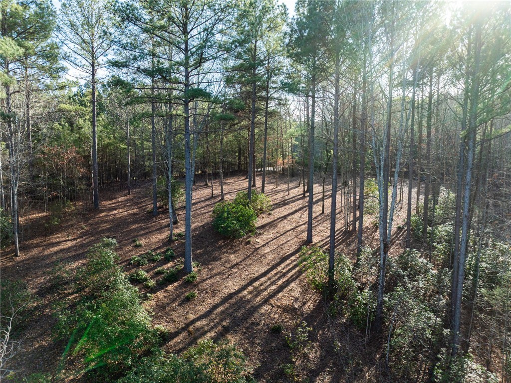392 Cliffs S Parkway Salem, SC 29676 - Photo 25 of 27