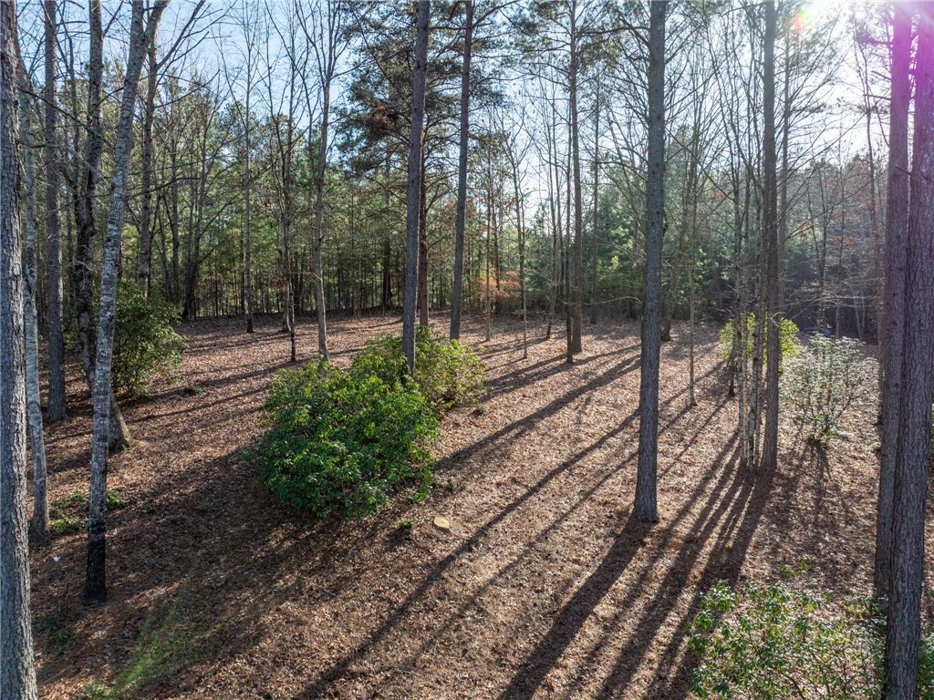 392 Cliffs S Parkway Salem, SC 29676 - Photo 26 of 27