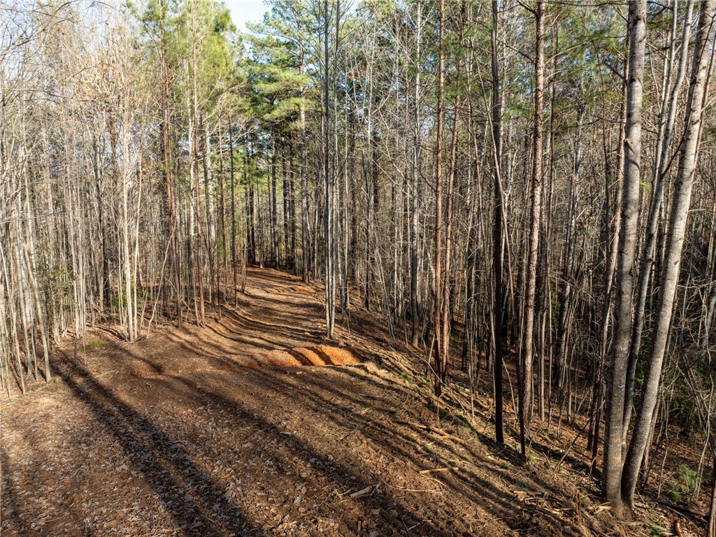 392 Cliffs S Parkway Salem, SC 29676 - Photo 27 of 27