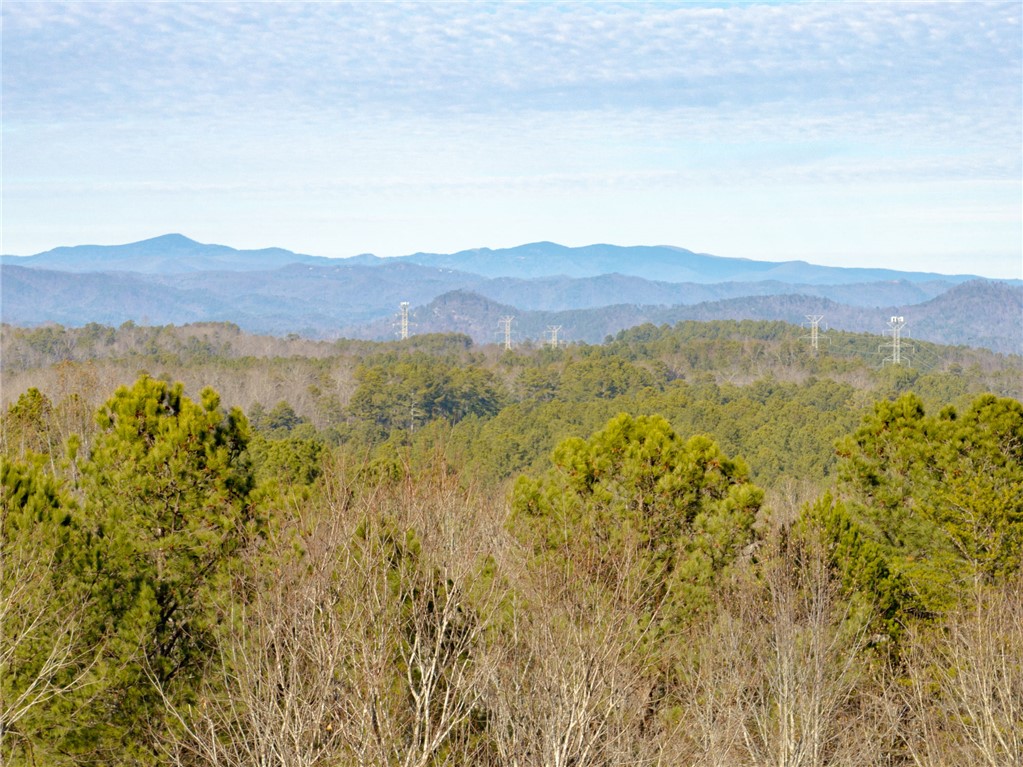 392 Cliffs S Parkway Salem, SC 29676 - Photo 3 of 27