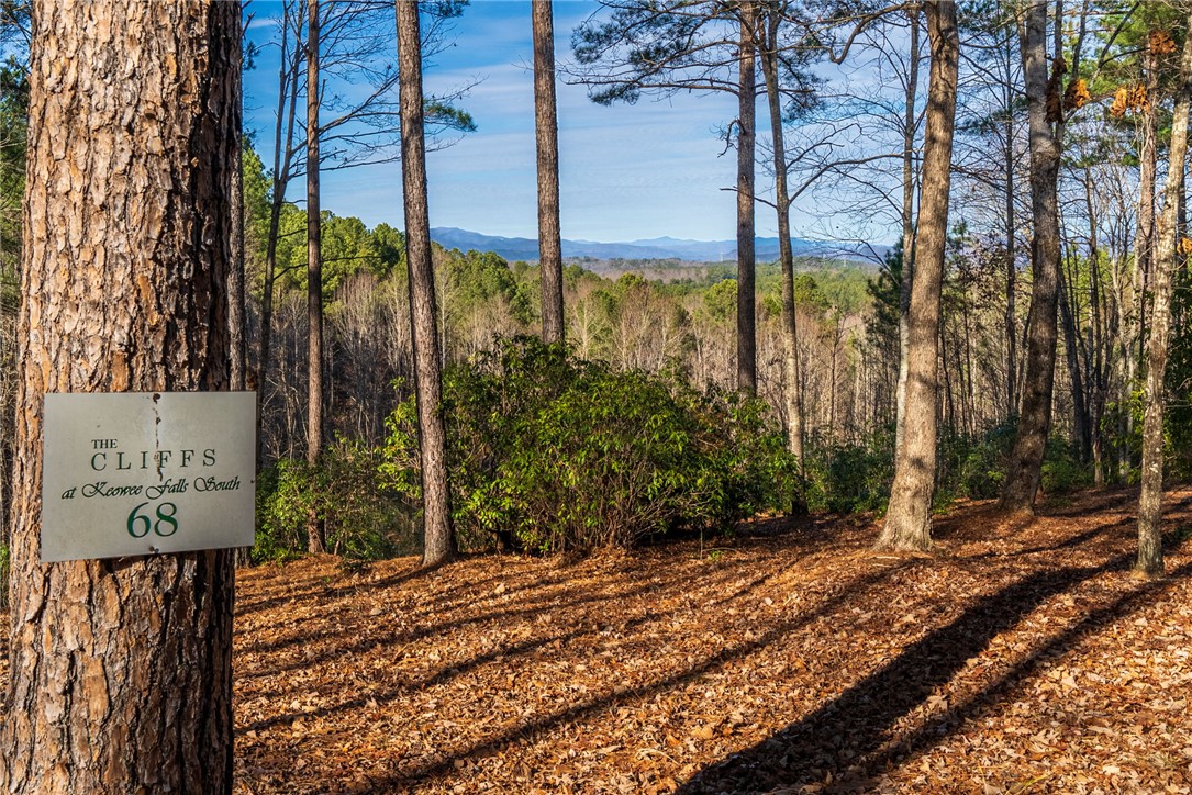 392 Cliffs S Parkway Salem, SC 29676 - Photo 4 of 27
