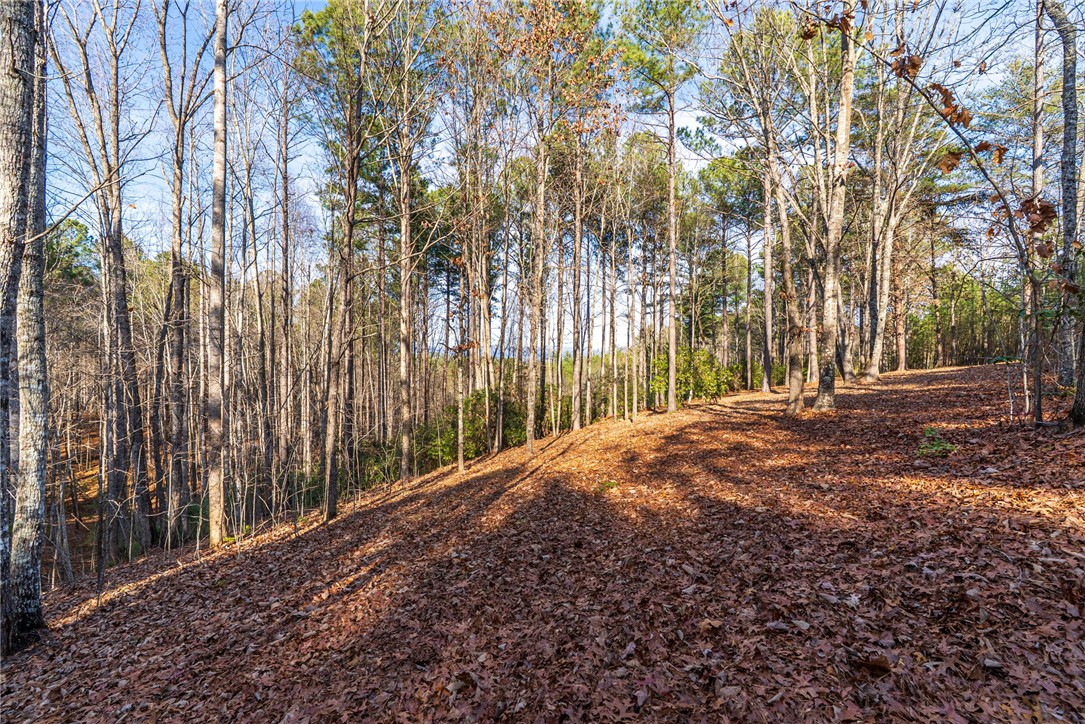 392 Cliffs S Parkway Salem, SC 29676 - Photo 5 of 27
