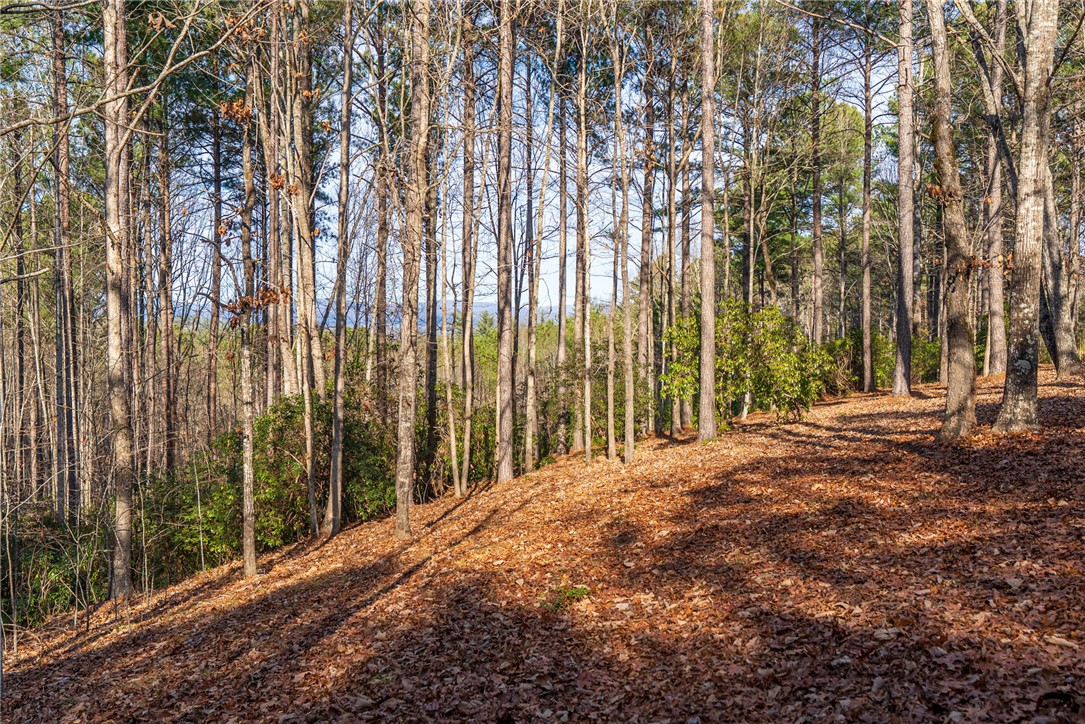 392 Cliffs S Parkway Salem, SC 29676 - Photo 6 of 27