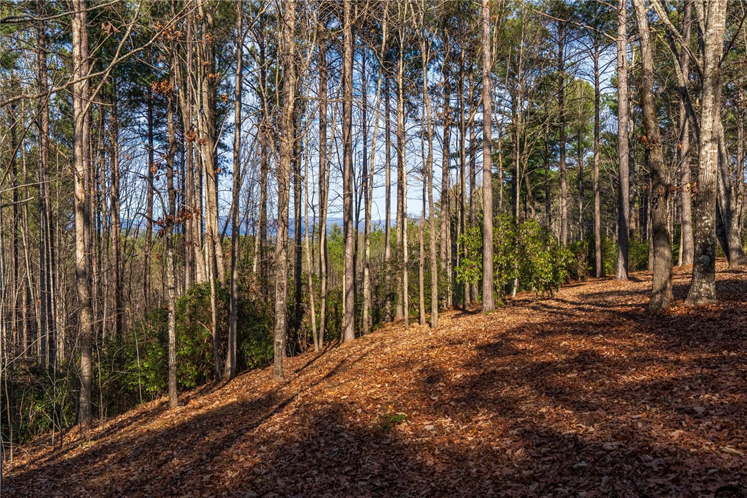 392 Cliffs S Parkway Salem, SC 29676 - Photo 7 of 27