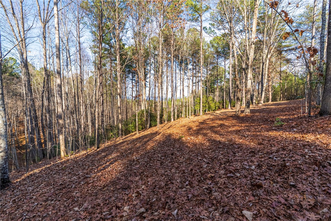 392 Cliffs S Parkway Salem, SC 29676 - Photo 8 of 27