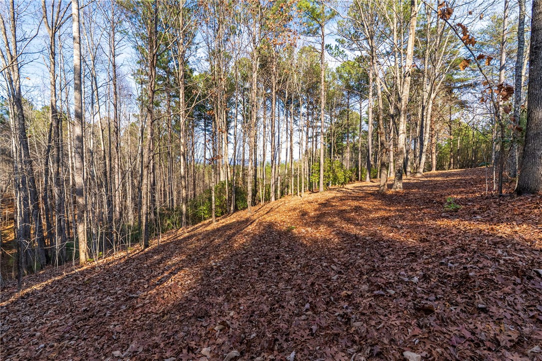 392 Cliffs S Parkway Salem, SC 29676 - Photo 9 of 27