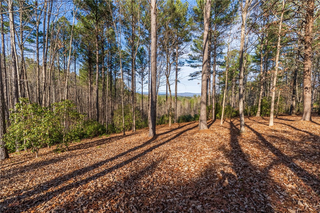 392 Cliffs S Parkway Salem, SC 29676 - Photo 10 of 27