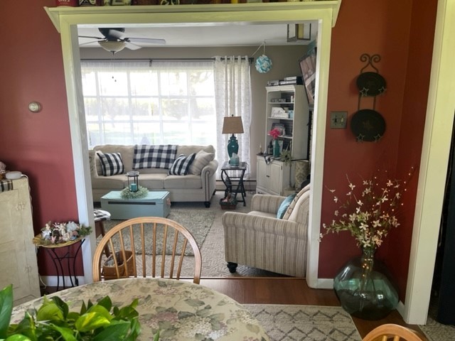 4059 Sunset Road Clinton, IL 61727 - Photo 20 of 55 a living room with furniture and a potted plant