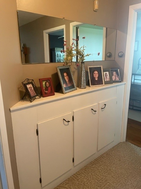 4059 Sunset Road Clinton, IL 61727 - Photo 23 of 55 a close view of utility room