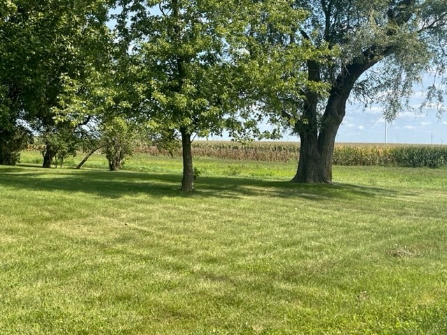 4059 Sunset Road Clinton, IL 61727 - Photo 41 of 55 a view of a trees in a yard