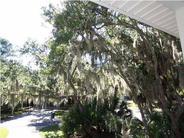 11 Gun Bluff Road Edisto Beach, SC 29438 - Photo 20 of 23 Additional Photo