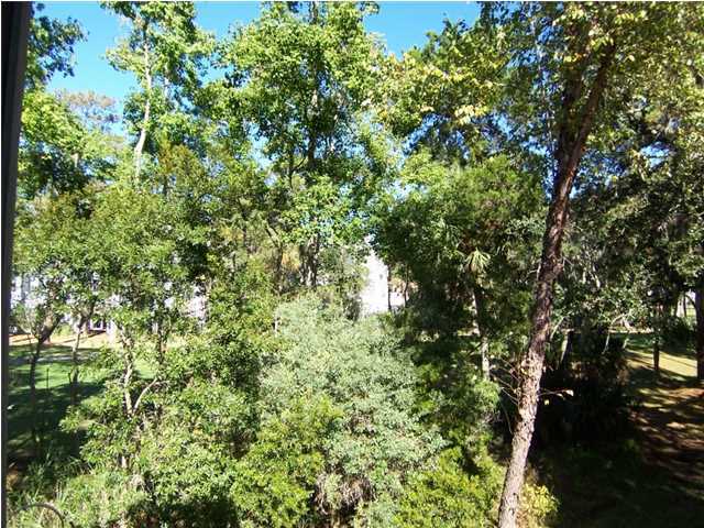 11 Gun Bluff Road Edisto Beach, SC 29438 - Photo 21 of 23 Additional Photo