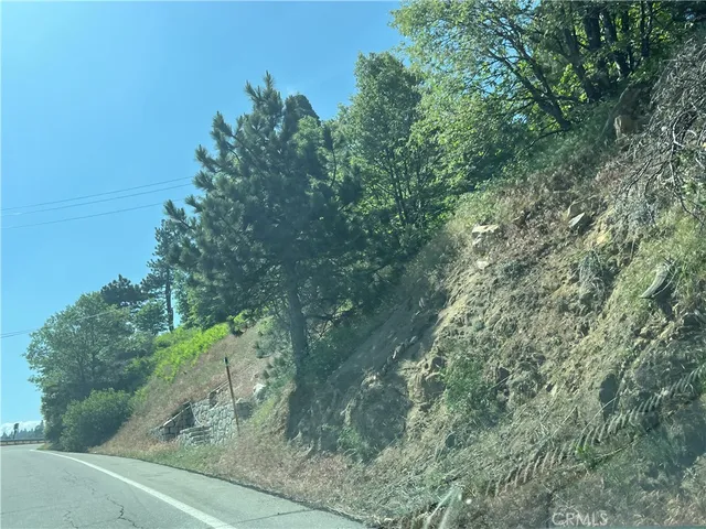 a view of a forest with trees in front of it