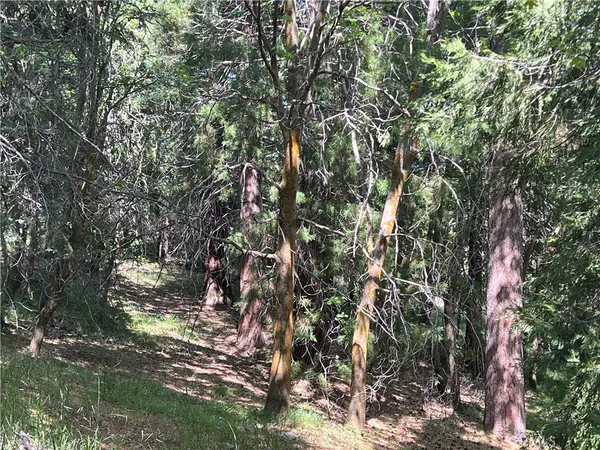 a map view of location