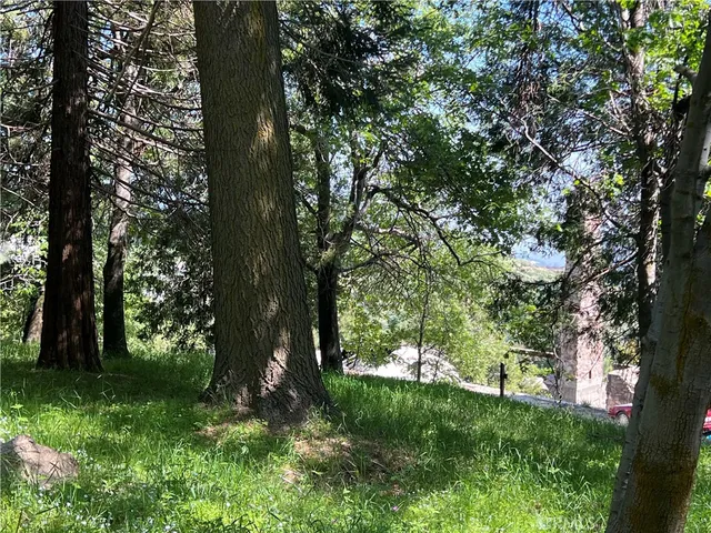 a view of outdoor space and yard