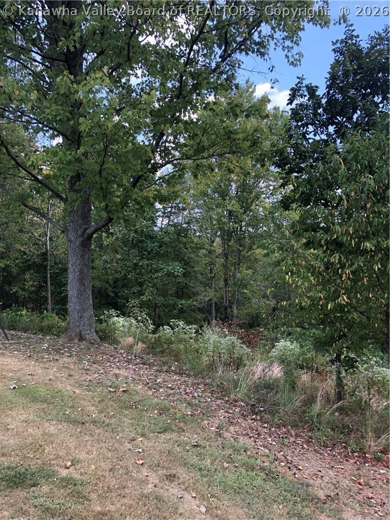682 Midway Acres Drive Ripley, WV 25271 - Photo 8 of 21 Gallery Image 8