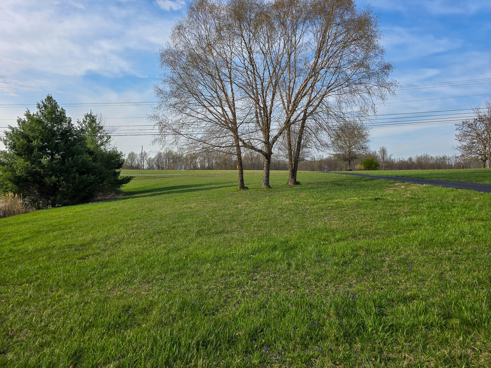 2060 Dry Ridge Road Liberty, KY 42539 - Photo 60 of 87 20250402_181213