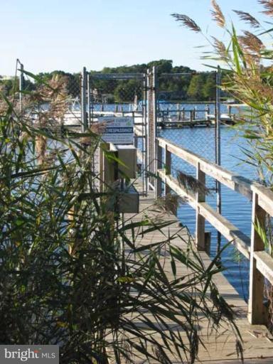 1322 Harbor Road Annapolis, MD 21403 - Photo 30 of 30 Community Pier