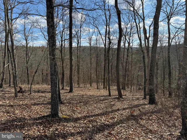 a view of outdoor space with wooden fence