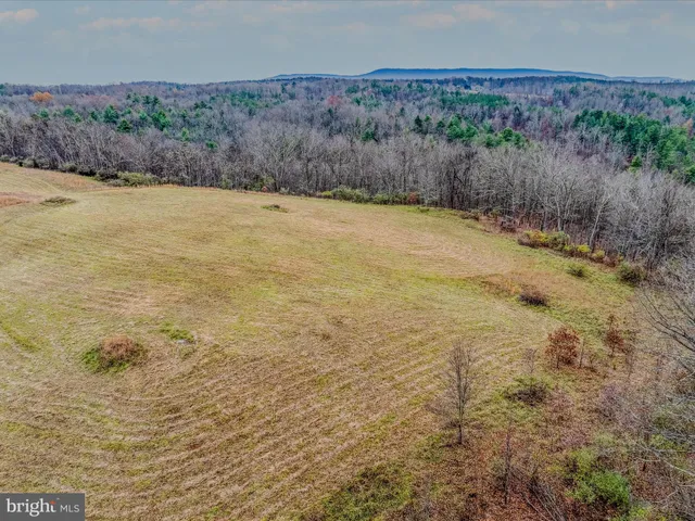 a view of an outdoor space and a yard