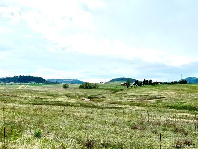11977 Haskell Creek Road Larkspur, CO 80118 - Photo 16 of 29