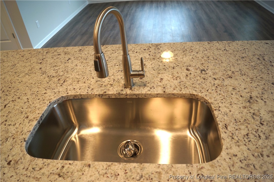 174 Nectar Lane Bunnlevel, NC 28323 - Photo 14 of 41 a close view of sink