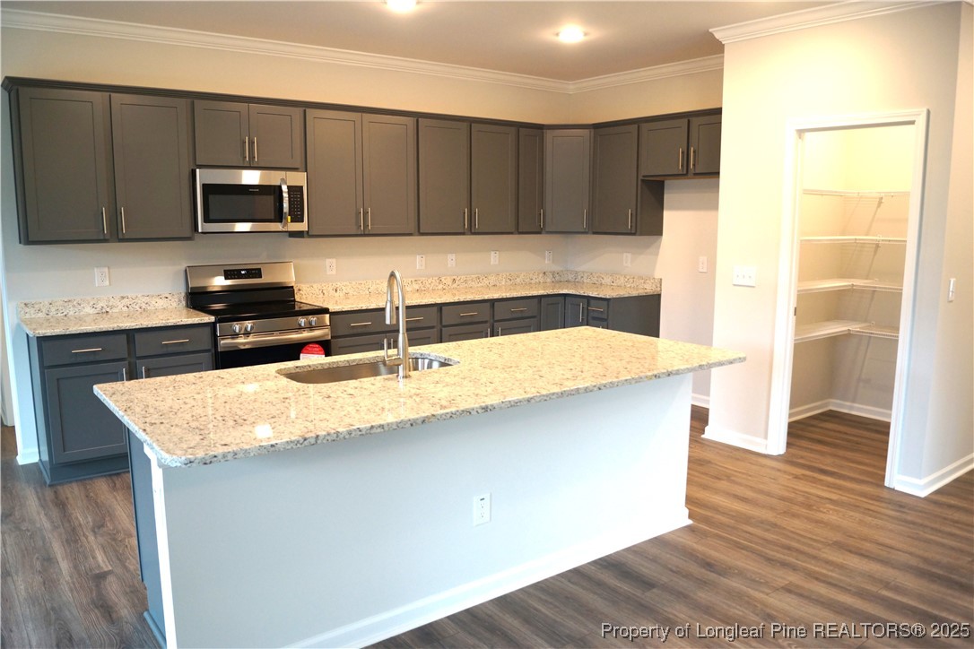174 Nectar Lane Bunnlevel, NC 28323 - Photo 6 of 41 a kitchen with stainless steel appliances granite countertop a sink a microwave counter space and wooden floor