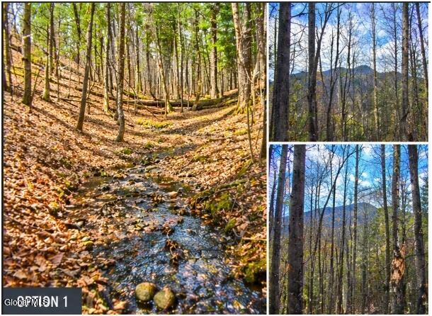 1993 Garnet Lake Road North Johnsburg, NY 12843 - Photo 31 of 44 option1_collage