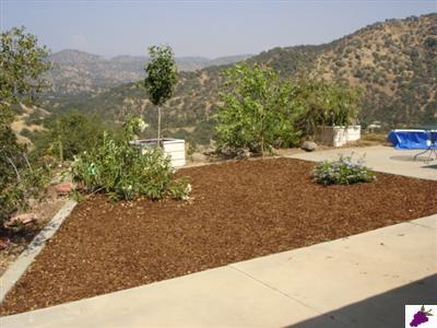 35543 George Smith Road Squaw Valley, CA 93675 - Photo 3 of 4 Gallery Image 3