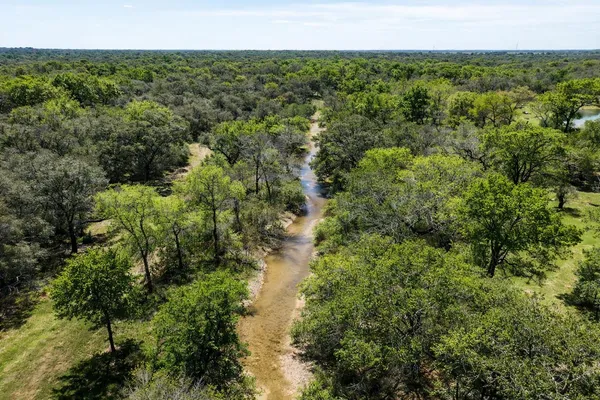 a view of a forest with a house