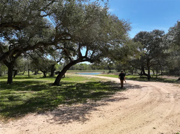 a view of a yard with trees