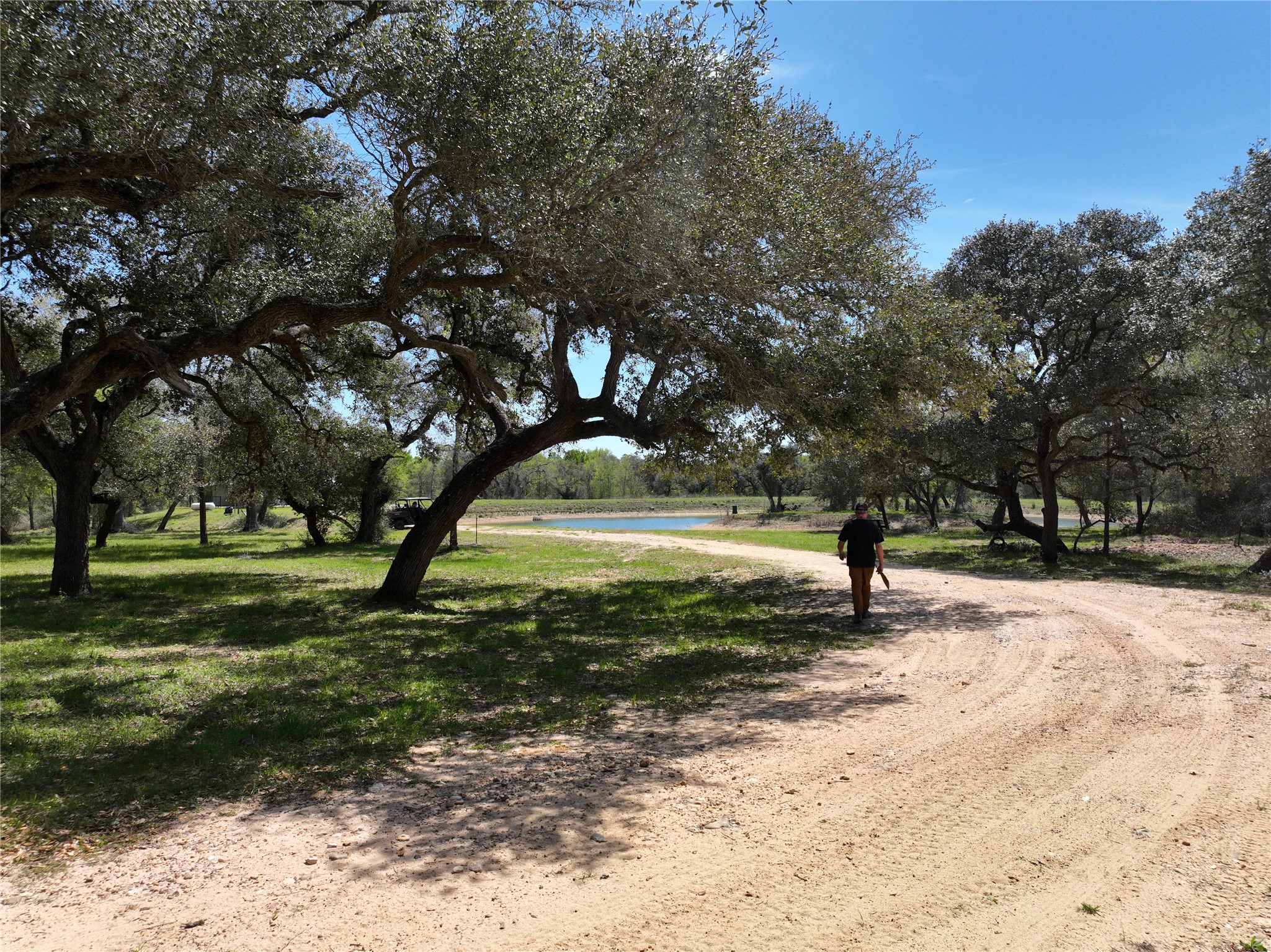 1839 County Road 103 Columbus, TX 78934 - Photo 24 of 31 a view of a yard with trees