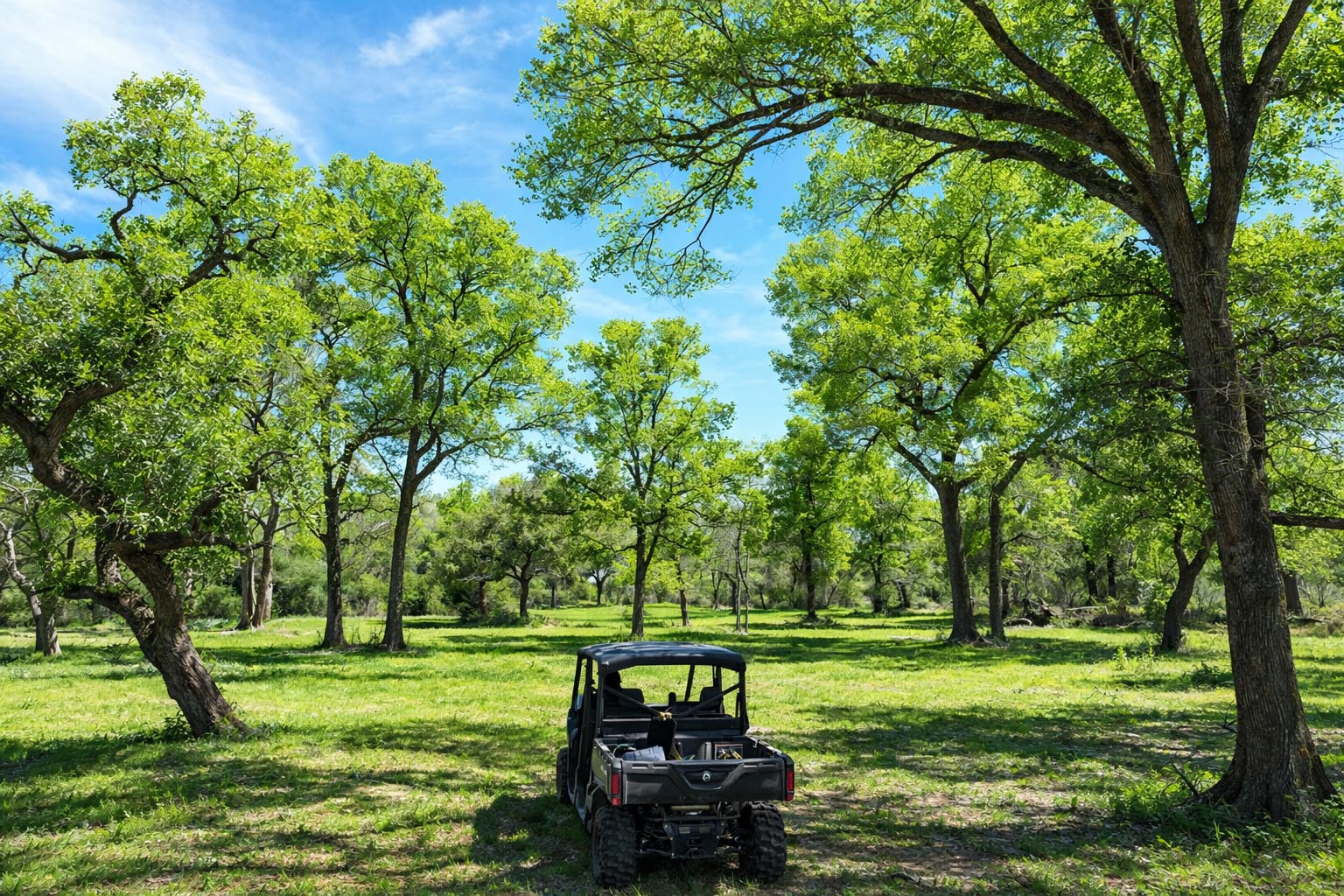 1839 County Road 103 Columbus, TX 78934 - Photo 25 of 31 a view of a park with large trees