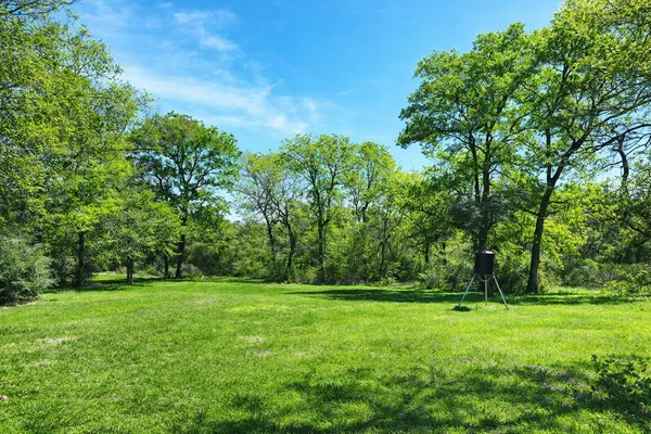 a view of outdoor space with deck and yard