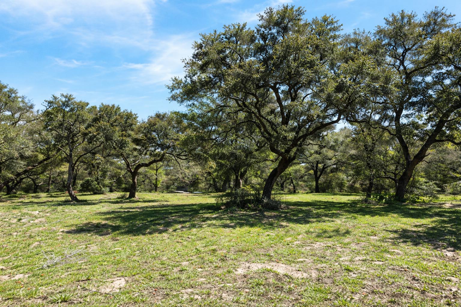 1839 County Road 103 Columbus, TX 78934 - Photo 30 of 31 a view of outdoor space with trees all around