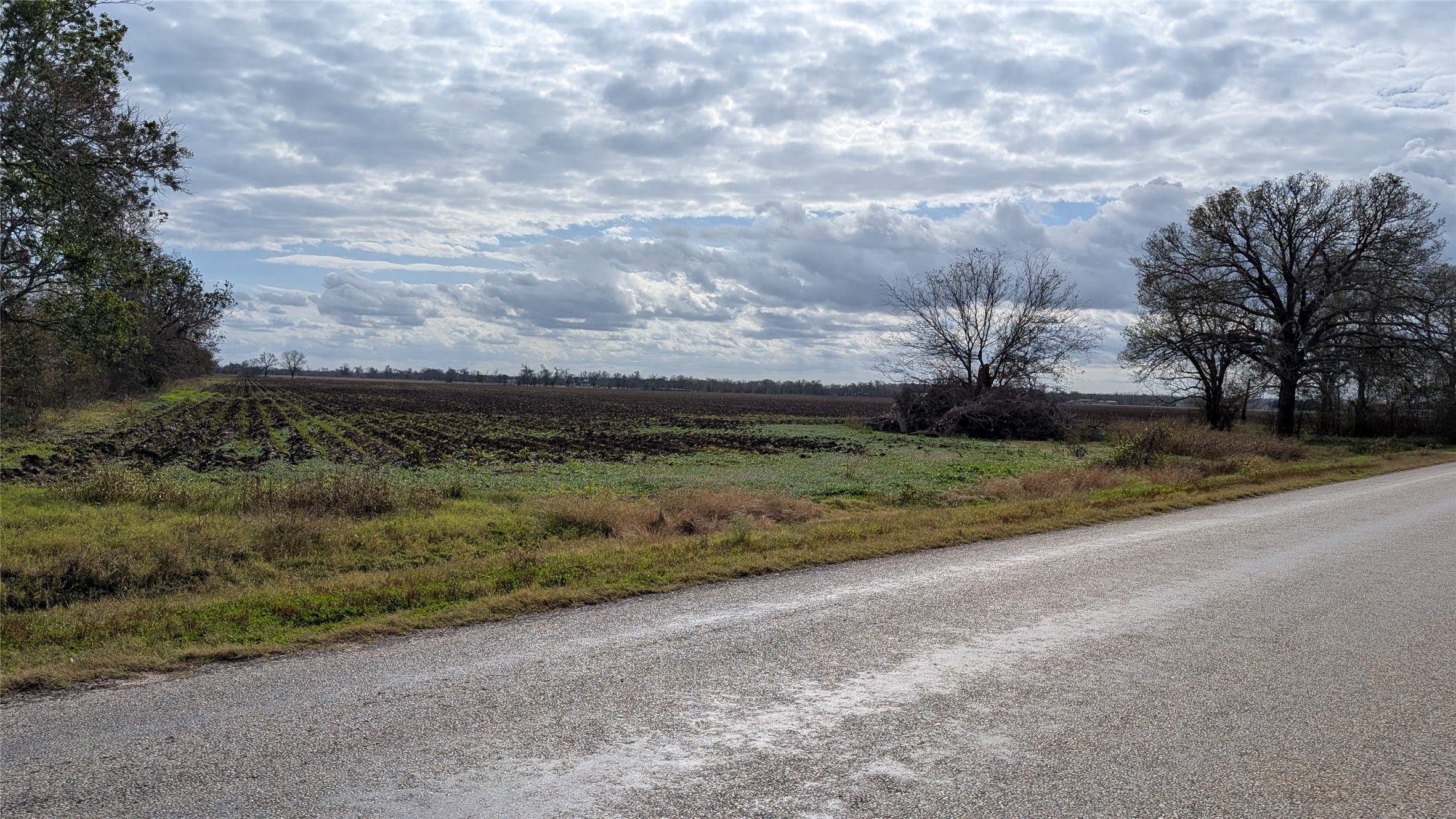 4220 Lees Lane Wharton, TX 77488 - Photo 4 of 9 a view of a yard with an trees
