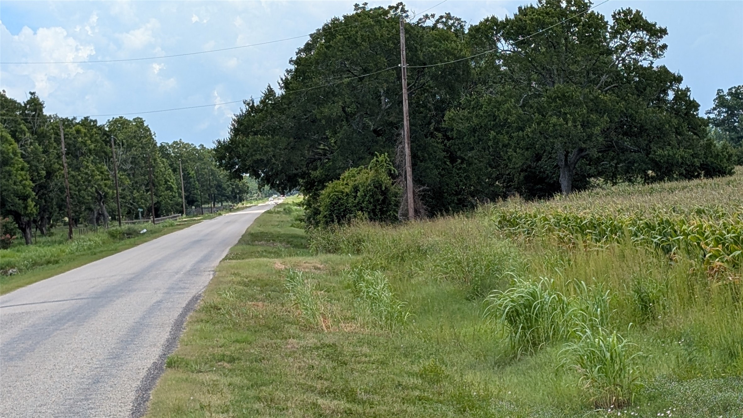 4220 Lees Lane Wharton, TX 77488 - Photo 6 of 9 a view of a yard with plants