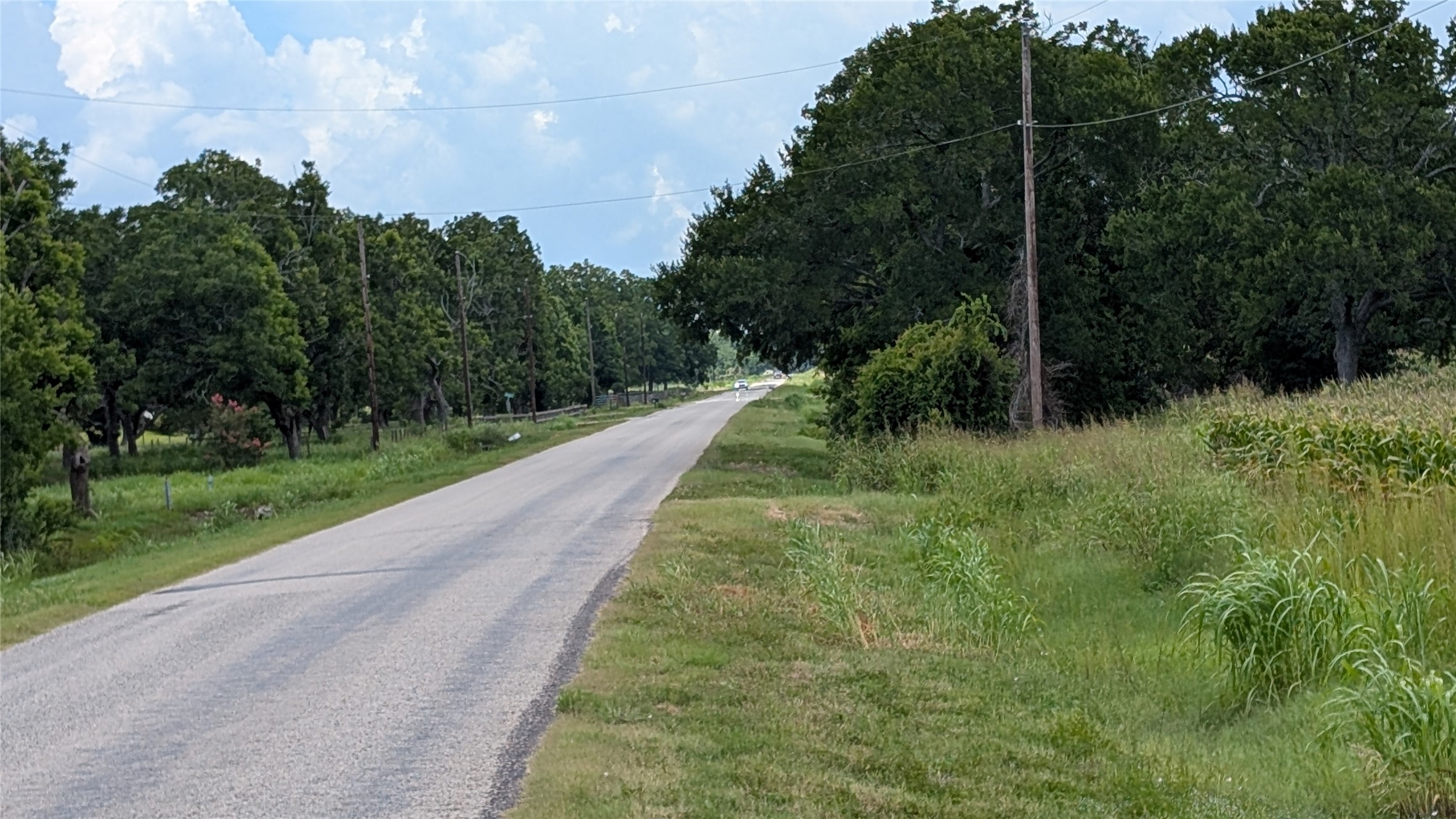 4220 Lees Lane Wharton, TX 77488 - Photo 7 of 9 a view of a yard with plants