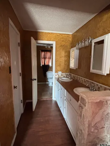 a bathroom with a sink and a large mirror