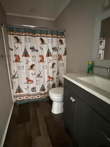 a bathroom with a granite countertop sink toilet and a shower