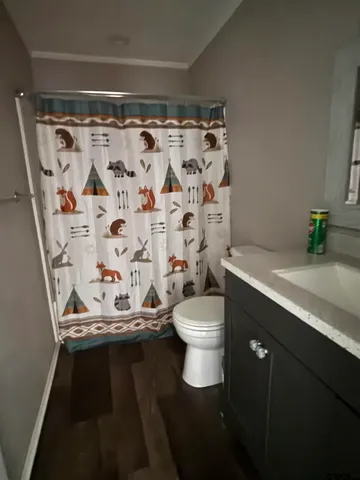 a bathroom with a sink a toilet and shower curtain