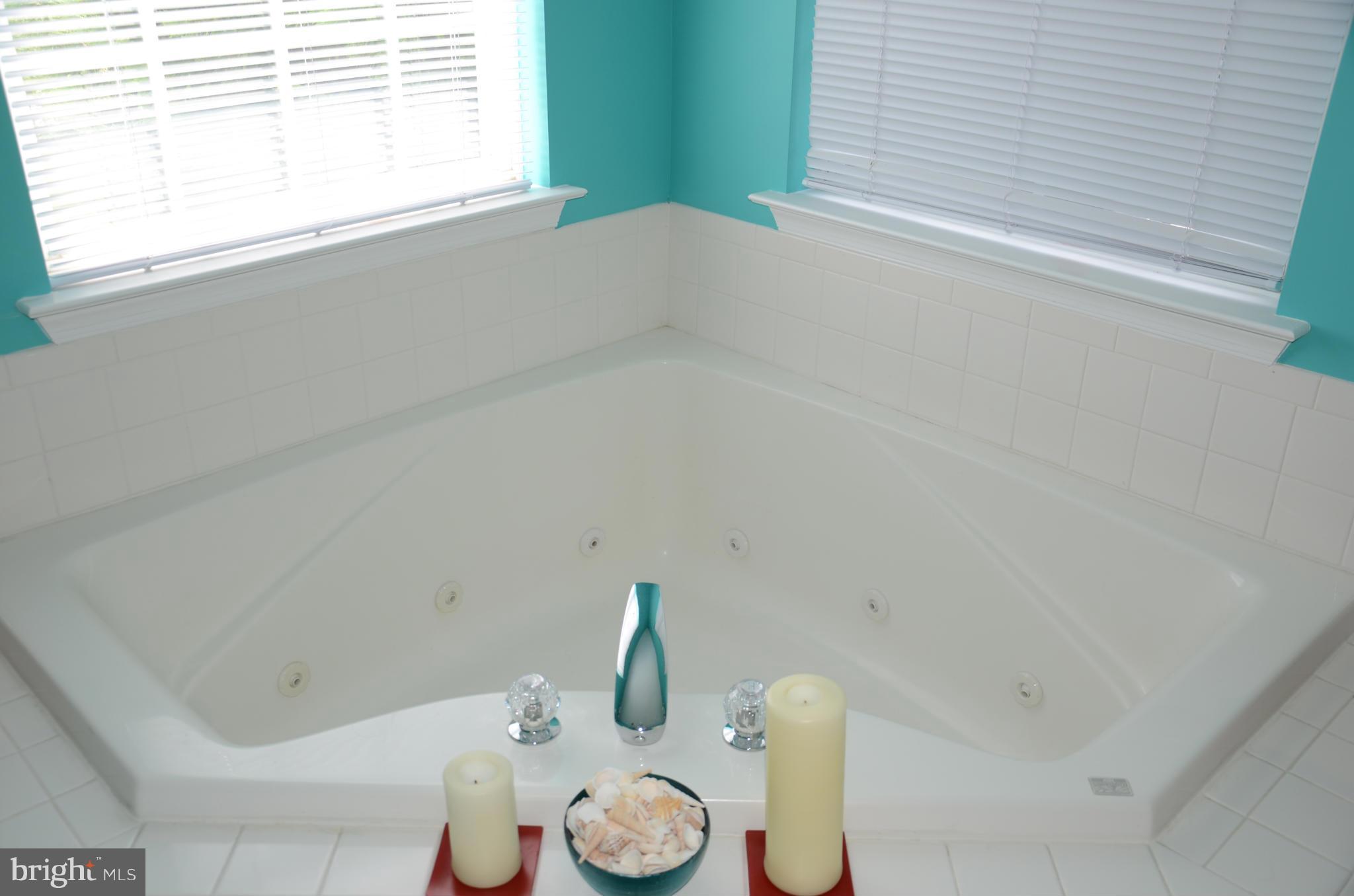 11202 Poplar Grove Court Laurel, MD 20708 - Photo 22 of 30 Bath (Master)