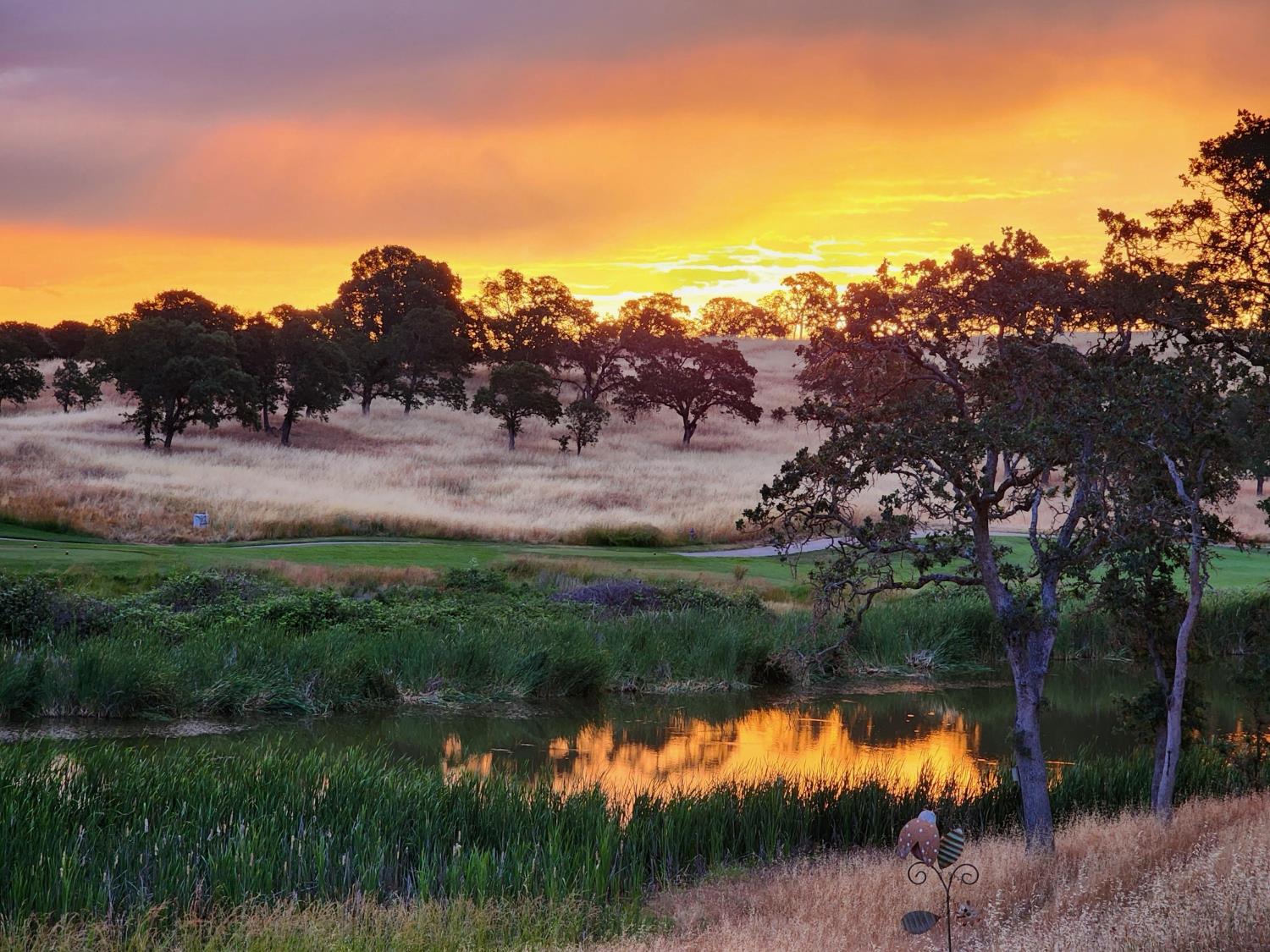 352 Mitchell Lake Lane Copperopolis, CA 95228 - Photo 5 of 47 Summer Sunrise View