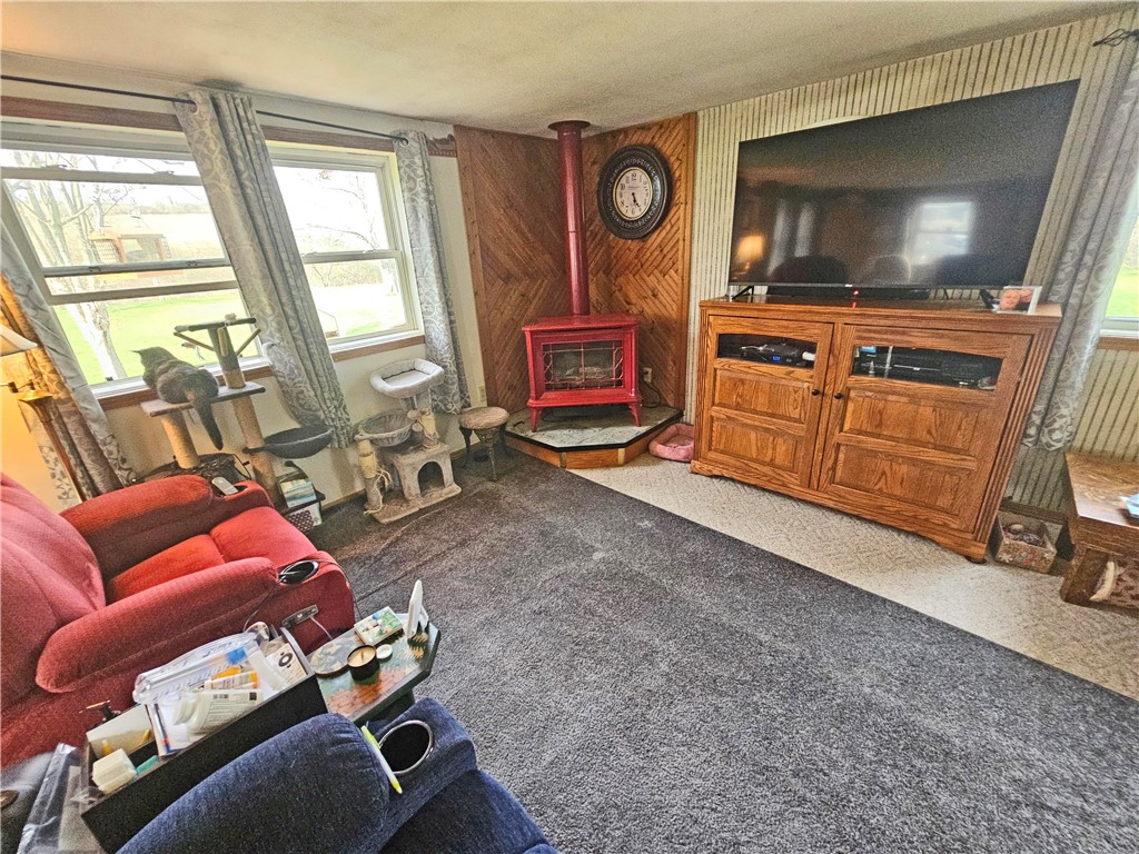 114 Terry Hill Road Veteran, NY 14845 - Photo 22 of 26